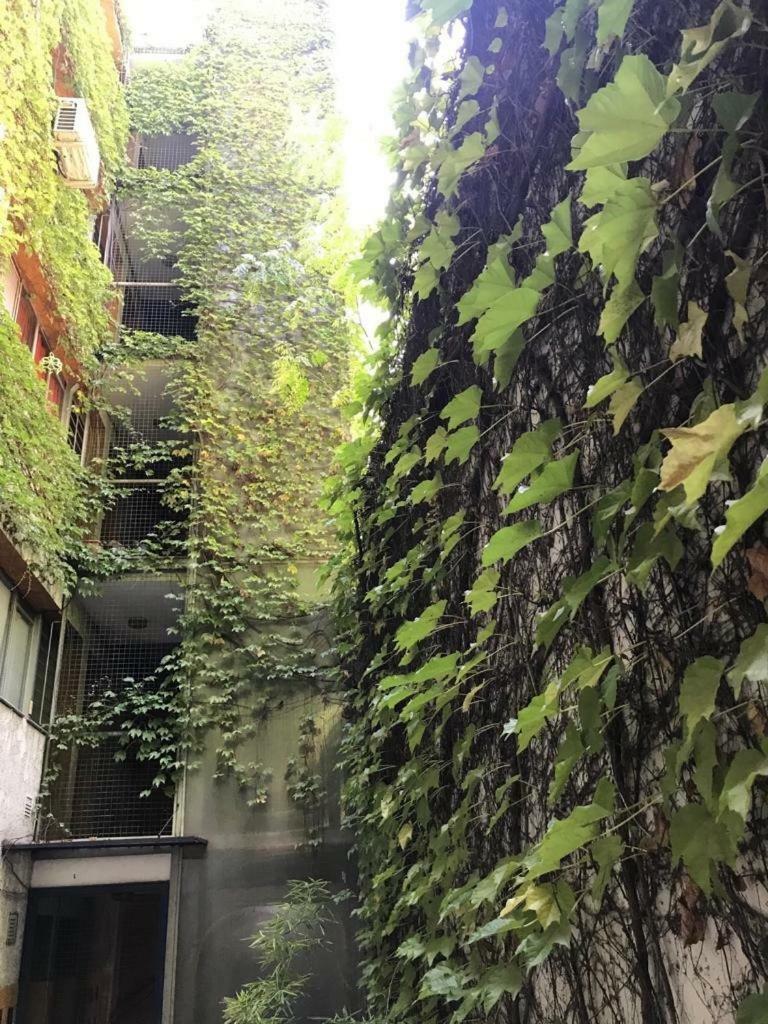 Departamento De 2 Dormitorios, Excelente Ubicacion ميندوزا المظهر الخارجي الصورة